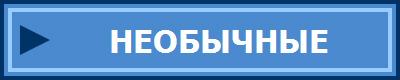 НЕОБЫЧНЫЕ