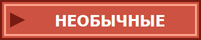 НЕОБЫЧНЫЕ